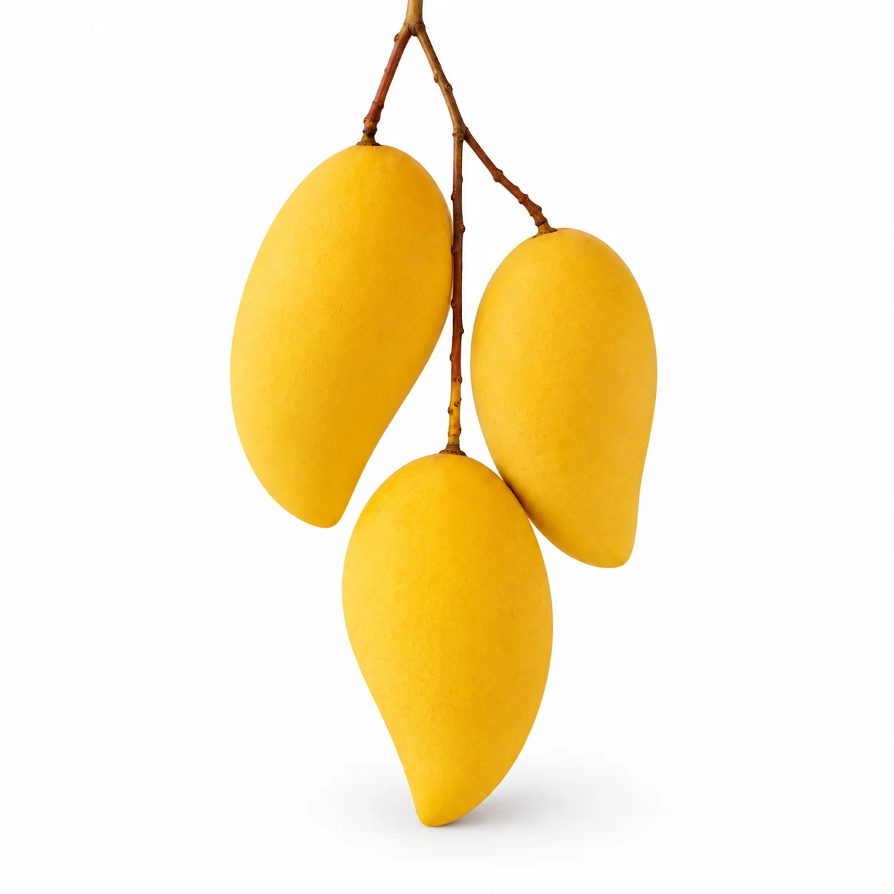 ব্যানানা | Banana